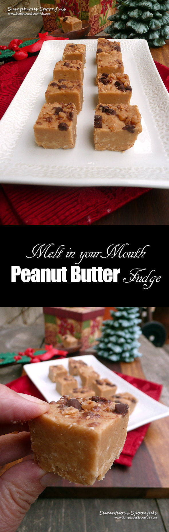 Melt in your Mouth Peanut Butter Fudge ~ Sumptuous Spoonfuls #peanutbutter #fudge #recipe