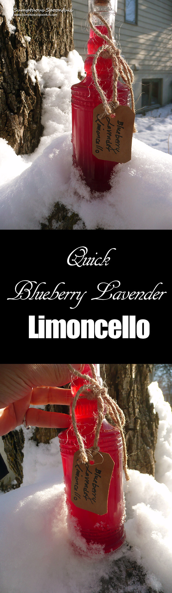 Blueberry Lavender Limoncello ~ Sumptuous Spoonfuls #Blueberry #Limoncello #overnight