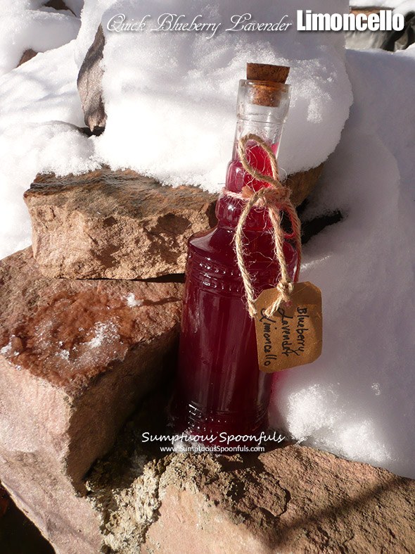 Blueberry Lavender Limoncello ~ Sumptuous Spoonfuls #Blueberry #Limoncello #overnight