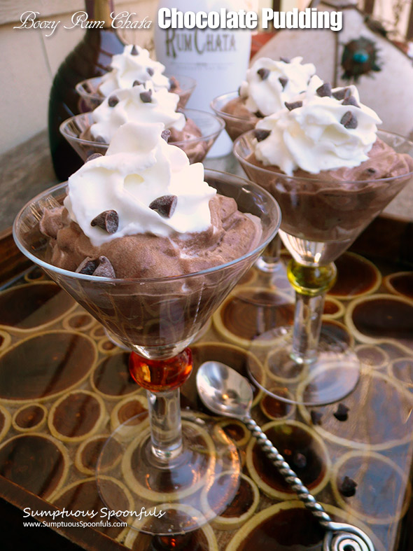 Boozy RumChata Chocolate Pudding ~ Sumptuous Spoonfuls #boozy #pudding #recipe