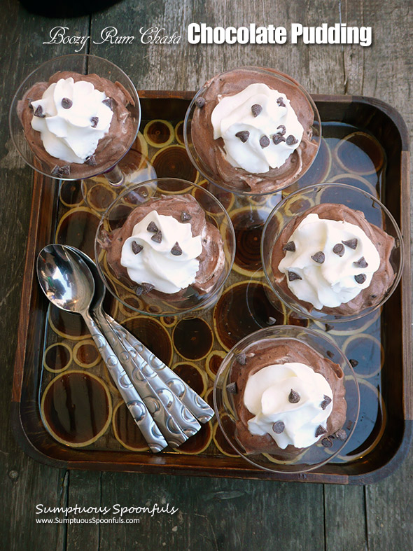 Boozy RumChata Chocolate Pudding ~ Sumptuous Spoonfuls #boozy #pudding #recipe