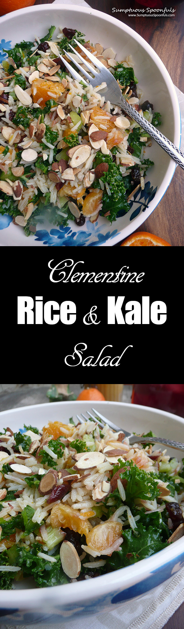 Clementine Rice & Kale Salad ~ Sumptuous Spoonfuls #citrus #kale #salad #recipe