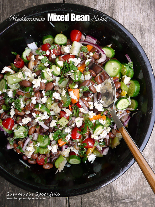  Mediterranean Mixed Bean Salad with Artichokes & Marinated Feta Cheese ~ Sumptuous Spoonfuls #healthy #bean #salad #recipe