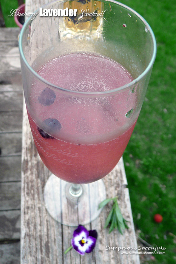 Blueberry Lavender Cocktail ~ Sumptuous Spoonfuls #elderflower #prosecco #cocktail #recipe