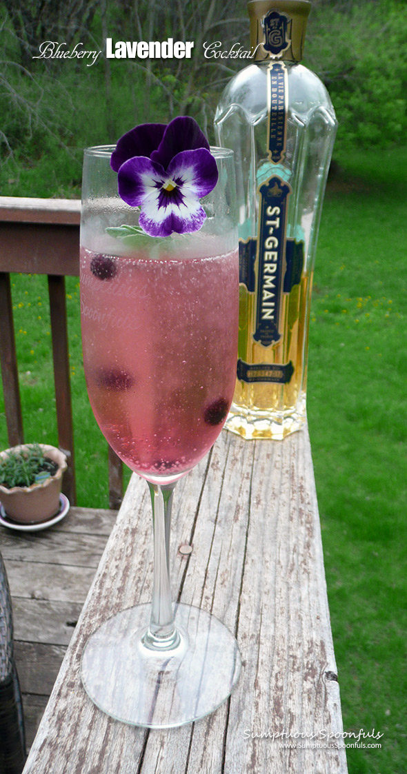 Blueberry Lavender Cocktail ~ Sumptuous Spoonfuls #elderflower #prosecco #cocktail #recipe