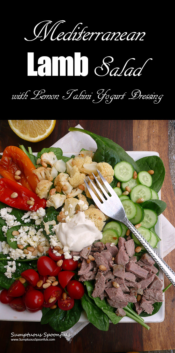 Mediterranean Lamb Salad with Lemon Tahini Yogurt Dressing ~ Sumptuous Spoonfuls #salad #recipe