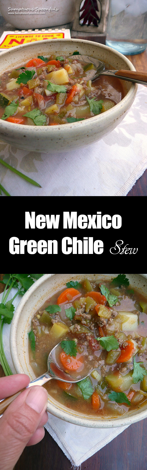 New Mexico Green Chile Stew ~ Sumptuous Spoonfuls #NM #recipe
