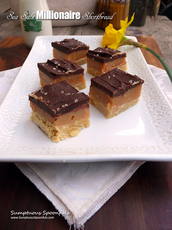 Sea Salt Millionaire Shortbread ~ Sumptuous Spoonfuls #chocolate #caramel #shortbread #bars #recipe