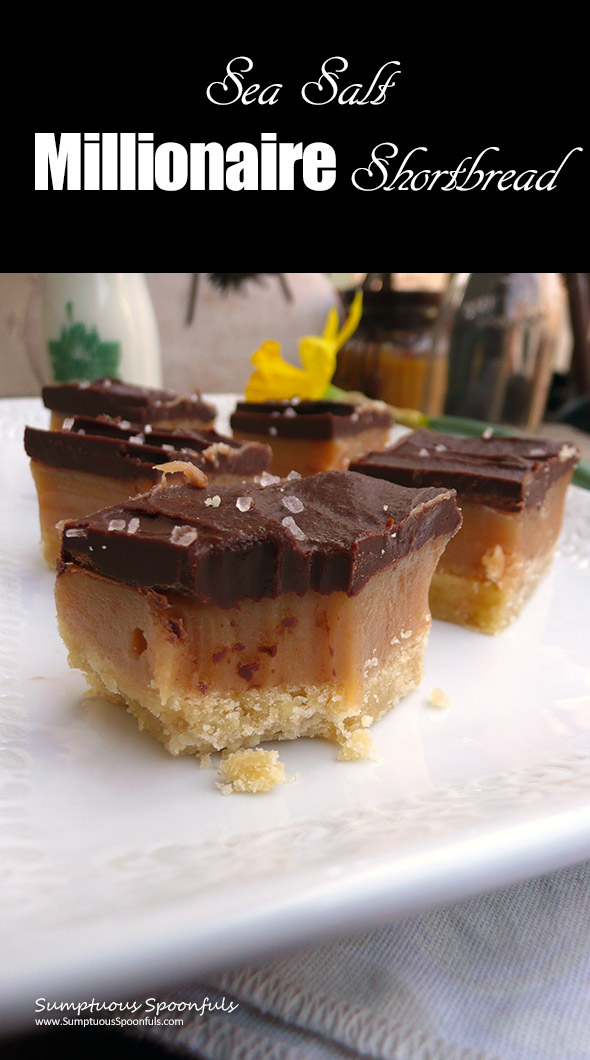 Sea Salt Millionaire Shortbread ~ Sumptuous Spoonfuls #chocolate #caramel #shortbread #bars #recipe