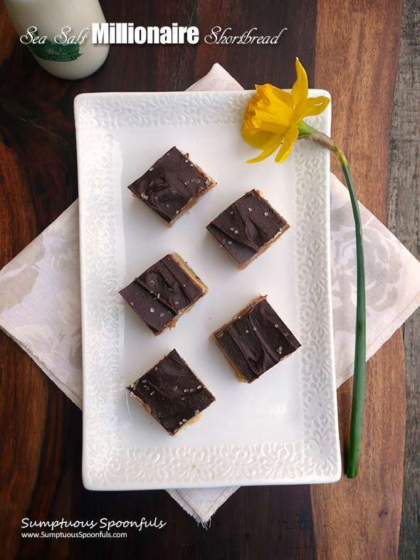 Sea Salt Millionaire Shortbread ~ Sumptuous Spoonfuls #chocolate #caramel #shortbread #bars #recipe