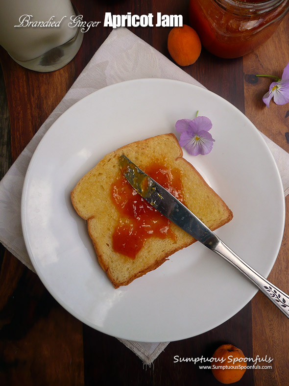 Brandied Ginger Apricot Jam ~ Sumptuous Spoonfuls #boozy #jam #recipe #noPectin