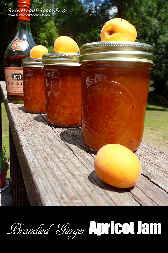 Brandied Ginger Apricot Jam ~ Sumptuous Spoonfuls #boozy #jam #recipe #noPectin