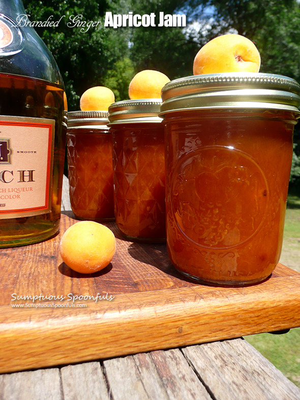 Brandied Ginger Apricot Jam ~ Sumptuous Spoonfuls #boozy #jam #recipe #noPectin