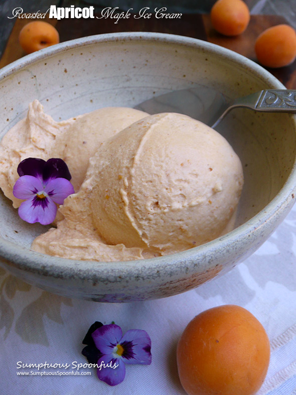 Roasted Apricot Maple Ice Cream ~ Sumptuous Spoonfuls #apricot #maple #icecream #recipe