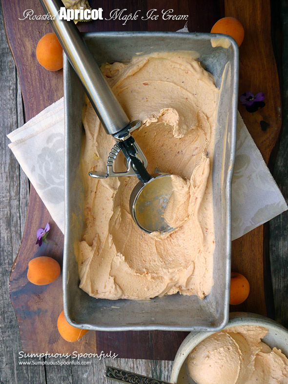 Roasted Apricot Maple Ice Cream ~ Sumptuous Spoonfuls #apricot #maple #icecream #recipe