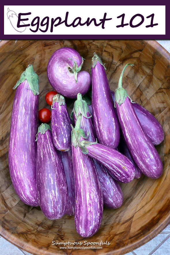 Eggplant 101: an introduction to eggplant including types, how to choose eggplant, nutrition information and more ... plus a recipe for Greek eggplant "meatballs"