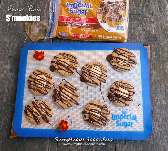 Peanut Butter S'mookies (S'mores cookies!) ~ chewy insides with an ooey gooey perfectly toasted marshmallow on top and a drizzle of chocolate, these s'mookies are the best! by Sumptuous Spoonfuls for #choctoberfest