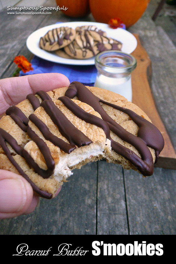 Peanut Butter S'mookies (S'mores cookies!) ~ chewy insides with an ooey gooey perfectly toasted marshmallow on top and a drizzle of chocolate, these s'mookies are the best! by Sumptuous Spoonfuls for #choctoberfest
