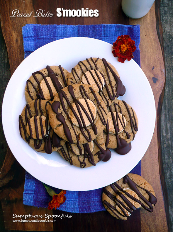 Peanut Butter S'mookies (S'mores cookies!) ~ chewy insides with an ooey gooey perfectly toasted marshmallow on top and a drizzle of chocolate, these s'mookies are the best! by Sumptuous Spoonfuls for #choctoberfest