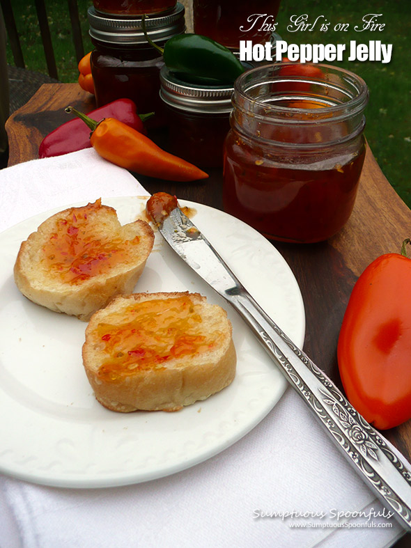 This Girl is on Fire Hot Pepper Jelly - hot sweet pepper jelly made with a mix of peppers to add depth of flavor and heat