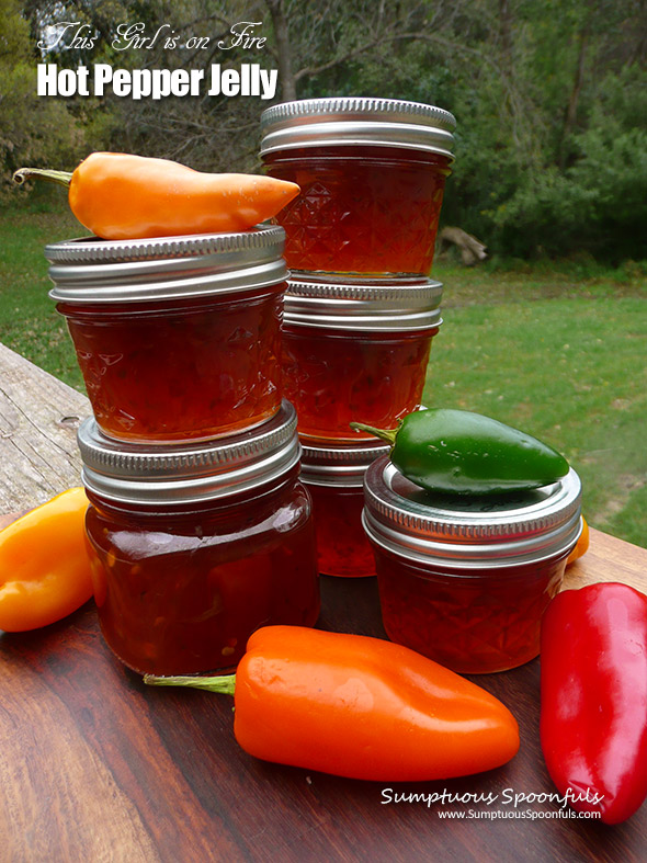 This Girl is on Fire Hot Pepper Jelly - hot sweet pepper jelly made with a mix of peppers to add depth of flavor and heat