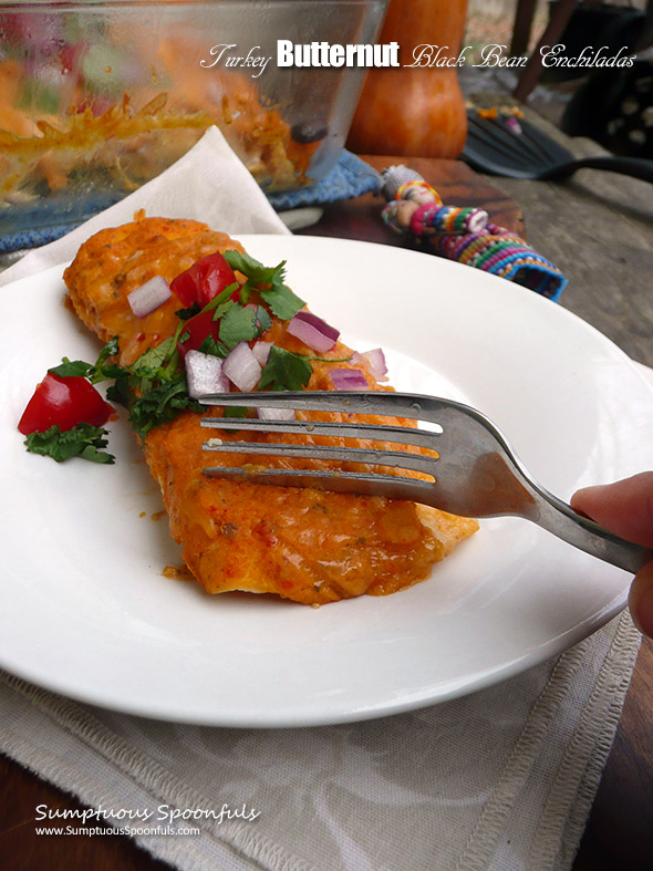 Turkey Butternut Black Bean Enchiladas ~ turn your holiday leftovers into a Mexican fiesta with these scrumptious enchiladas with a zippy butternut cream cheese sauce