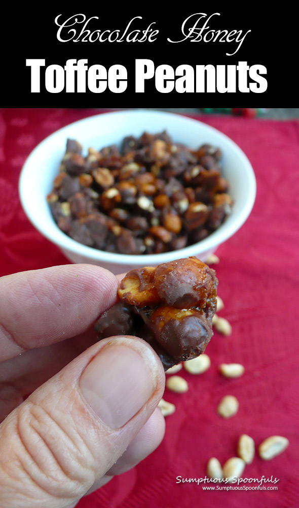 Chocolate Honey Toffee Peanuts ~ A toffee purist's recipe made with honey (no corn syrup!), vanilla and dipped in chocolate, like real toffee