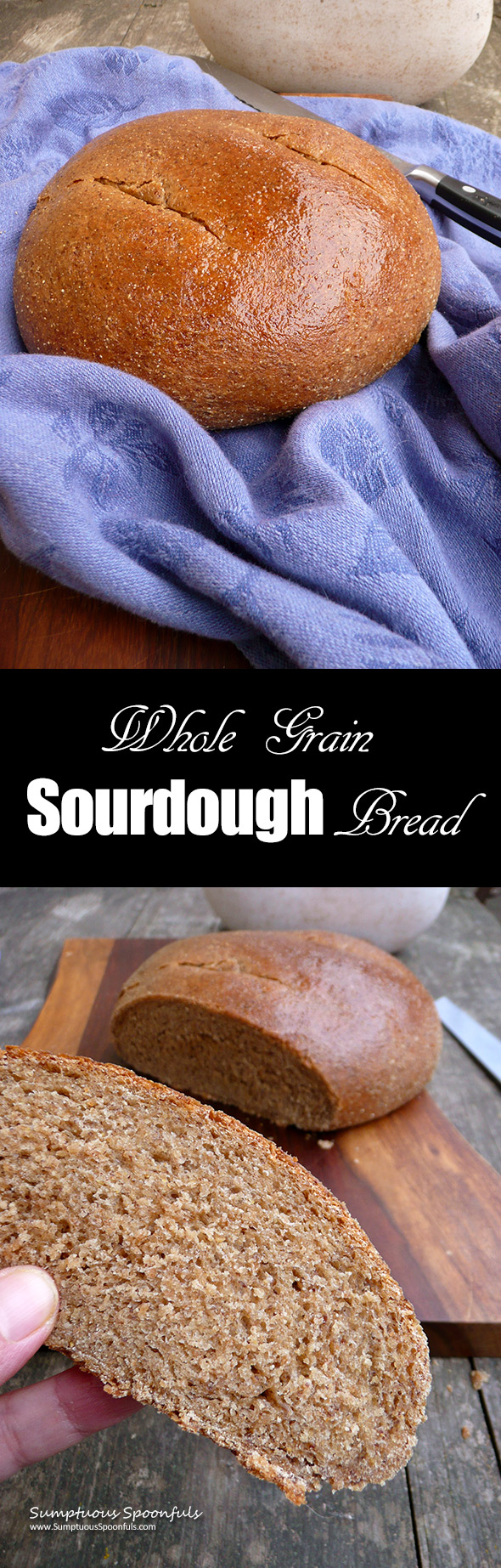 Whole Grain Sourdough Bread ~ a dense chewy part-rye, part whole wheat sourdough bread with a delightful crumb