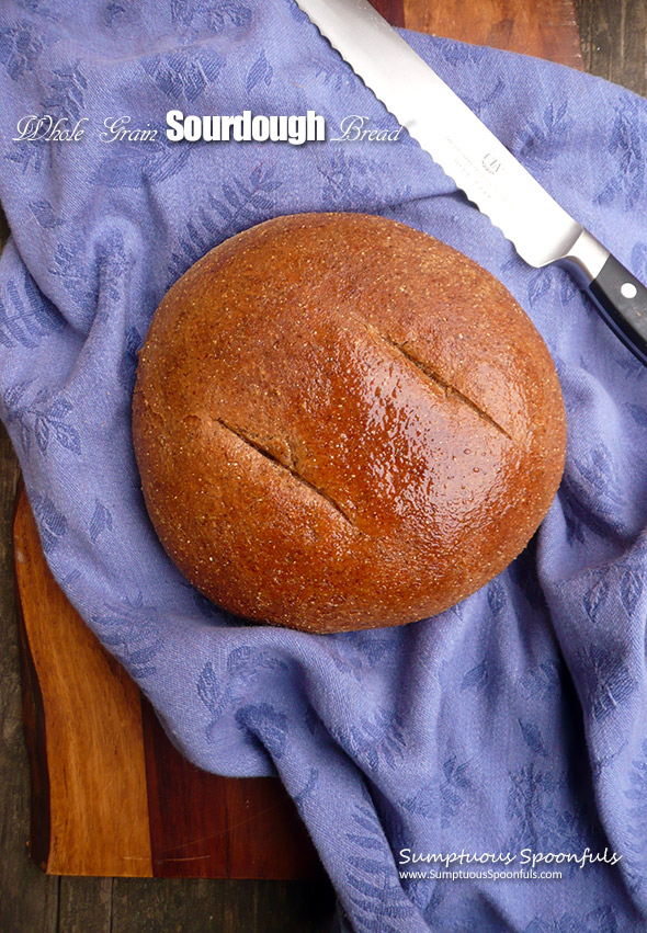 Whole Grain Sourdough Bread ~ a dense chewy part-rye, part whole wheat sourdough bread with a delightful crumb