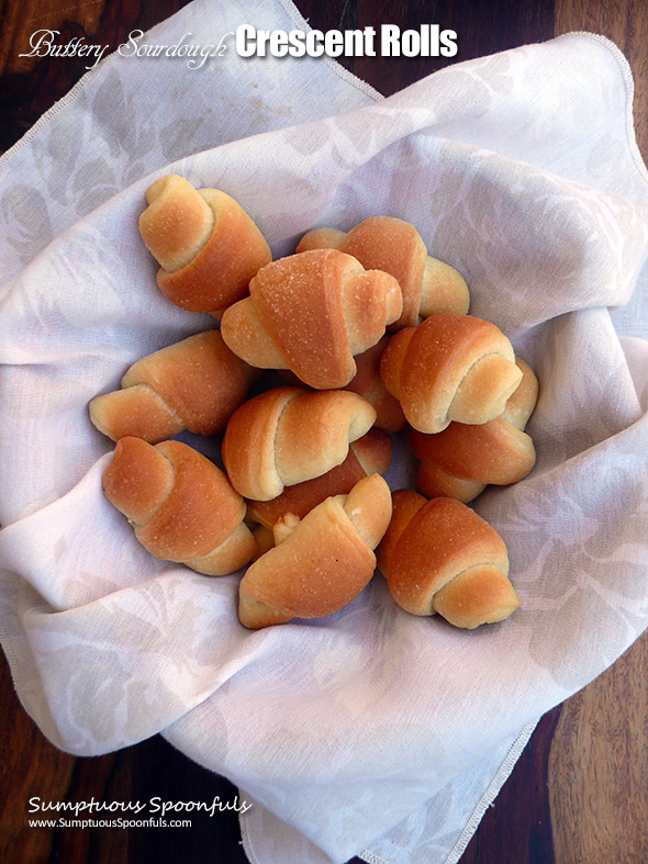 Sweet Buttery Sourdough Crescent Rolls ~ sweet buttery taste without the preservatives and the healthy benefits of sourdough! 