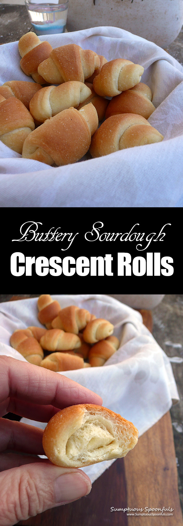 Sweet Buttery Sourdough Crescent Rolls ~ sweet buttery taste without the preservatives and the healthy benefits of sourdough! 