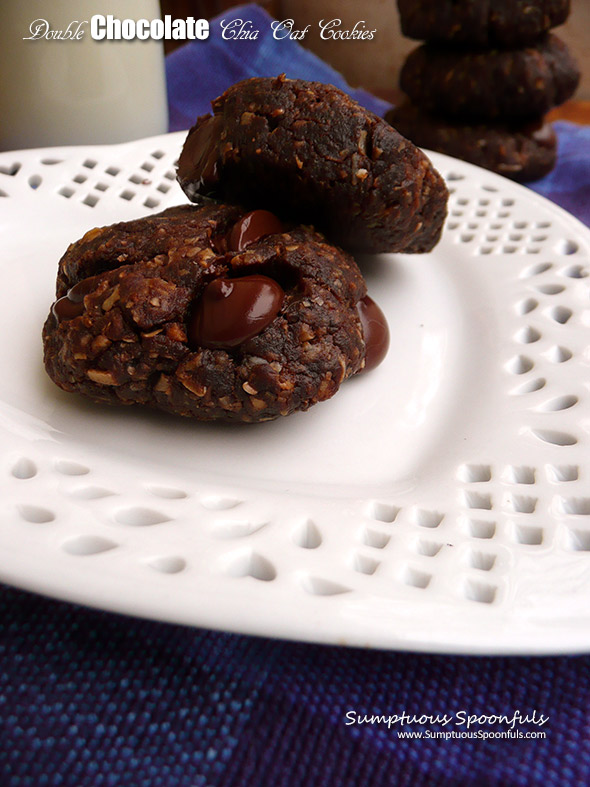 Double Chocolate Chia Oat Cookies ~ chewy double chocolate cookies that satisfy your cravings without sacrificing health! These healthy cookies will rock your world.