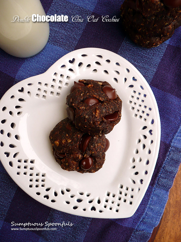 Double Chocolate Chia Oat Cookies ~ chewy double chocolate cookies that satisfy your cravings without sacrificing health! These healthy cookies will rock your world.