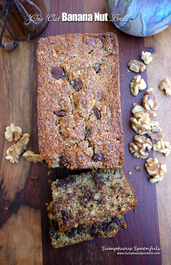 Chia Oat Banana Nut Bread ~ a hearty, healthy banana bread recipe that tastes great!