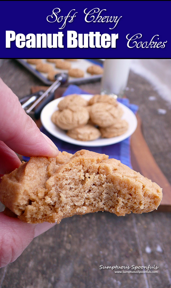 Soft Chewy Peanut Butter Cookies ~ seriously the BEST peanut butter cookies I have ever tasted! These cookies are soft and perfectly chewy with a crisp crust and tender inside.