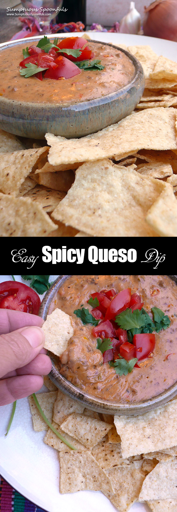 Easy Spicy Queso Dip ~ A hearty dirty queso that is so easy to make! My family begs me to bring this to every family gathering ... and even the youngest of the kids just love it. 