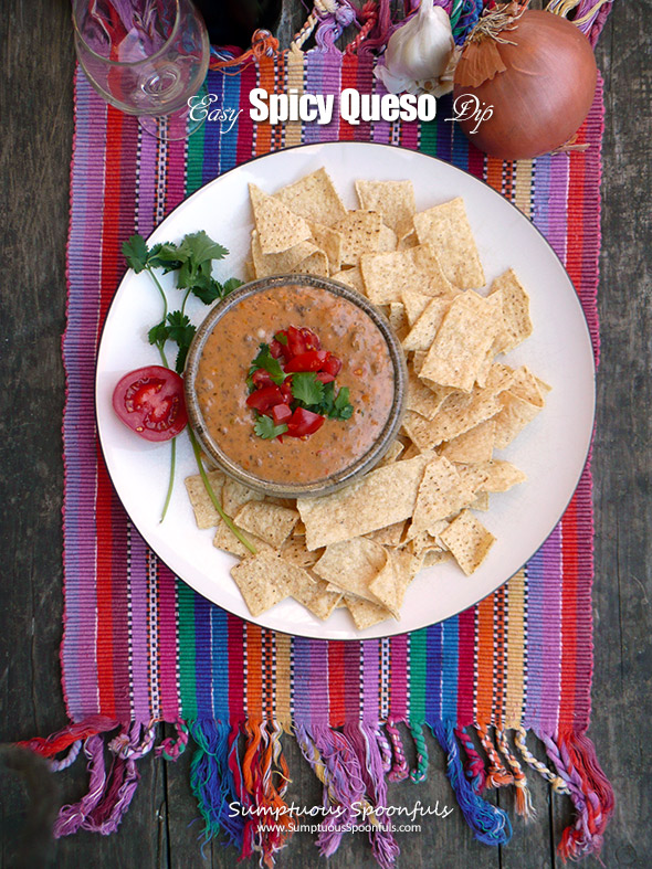 Easy Spicy Queso Dip ~ A hearty dirty queso that is so easy to make! My family begs me to bring this to every family gathering ... and even the youngest of the kids just love it. 
