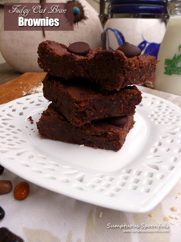 Fudgy Oat Bran Brownies ~ Healthy, high fiber brownies that will totally satisfy your chocolate cravings!