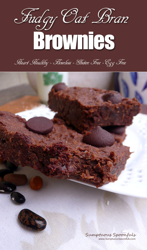 Fudgy Oat Bran Brownies ~ Healthy, high fiber brownies that will totally satisfy your chocolate cravings!