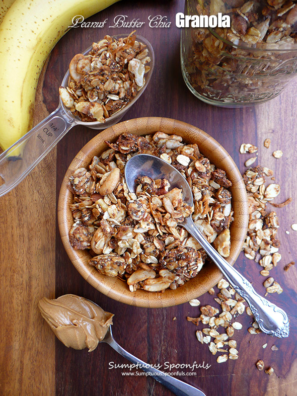 Peanut Butter Chia Granola ~ crunchy oats, nuts, chia seeds, peanut butter and toasted coconut make a crunchy, delicious homemade granola. Ditch the store bought stuff!