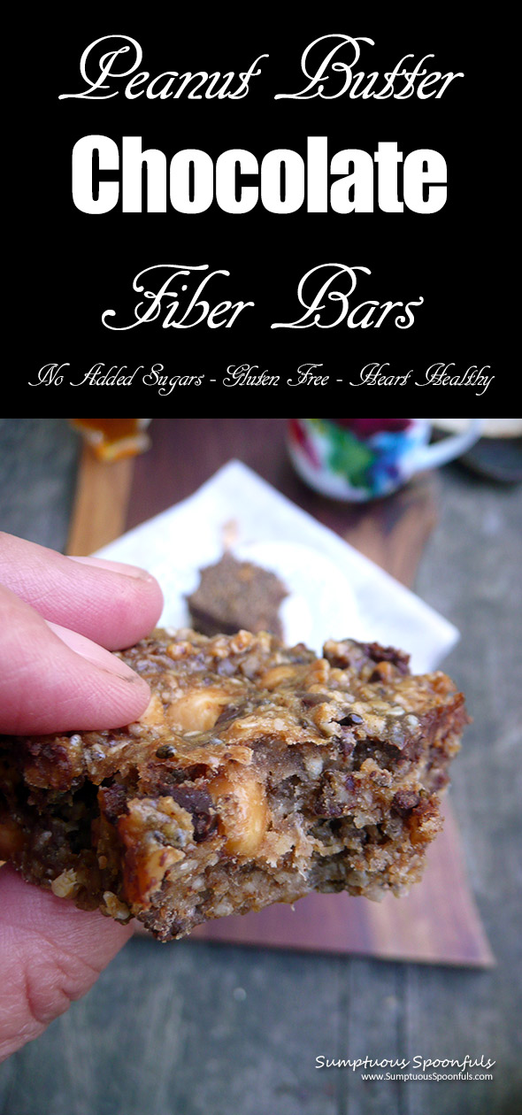 Peanut Butter Chocolate Fiber Bars ~ Make your own fiber bars at home! How can you go wrong with peanut butter and chocolate?