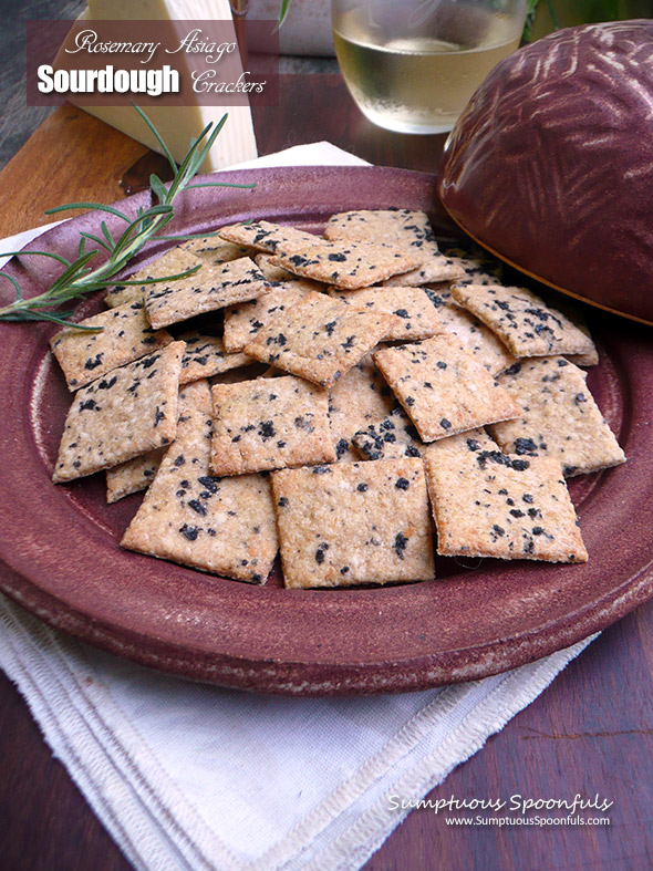 Rosemary Asiago Sourdough Crackers ~ homemade cheese crackers with style!