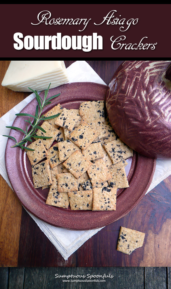 Rosemary Asiago Sourdough Crackers ~ homemade cheese crackers with style!