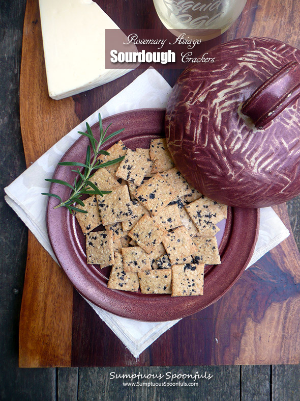 Rosemary Asiago Sourdough Crackers ~ homemade cheese crackers with style!