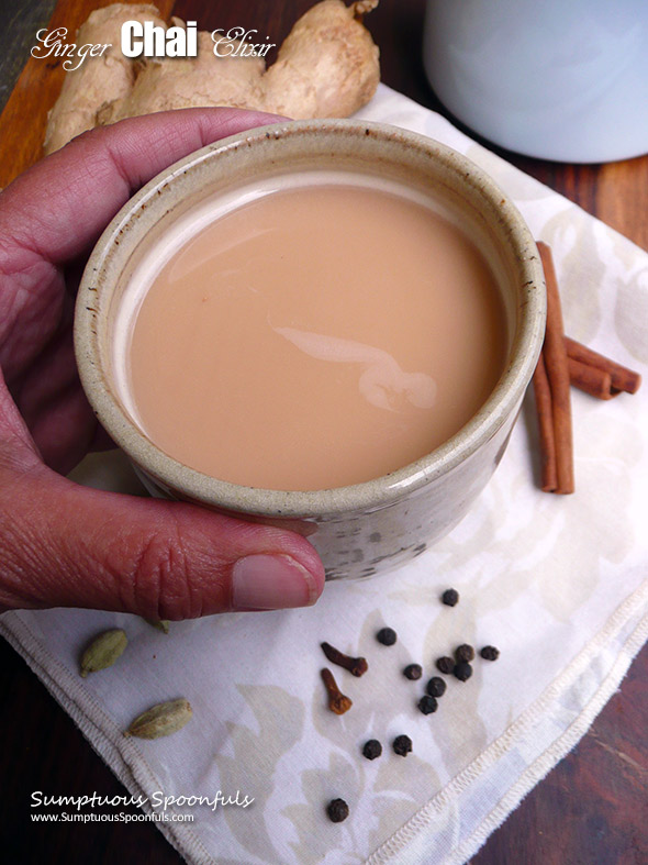 Ginger Chai Elixir ~ a delightful cup of spices with magical healing properties 