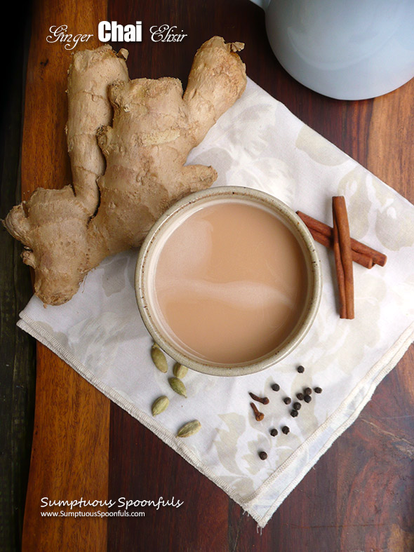 Ginger Chai Elixir ~ a delightful cup of spices with magical healing properties 
