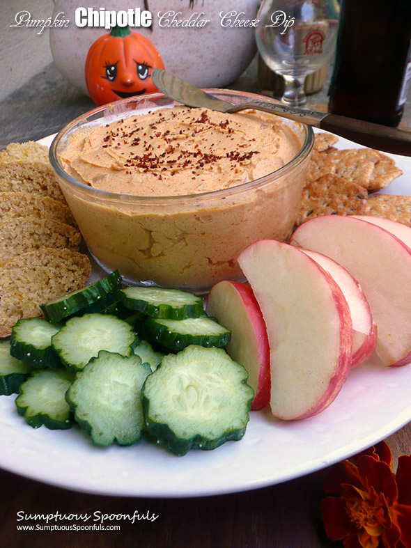 Pumpkin Chipotle Cheddar Cheese Dip