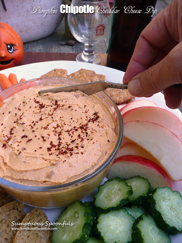 Pumpkin Chipotle Cheddar Cheese Dip