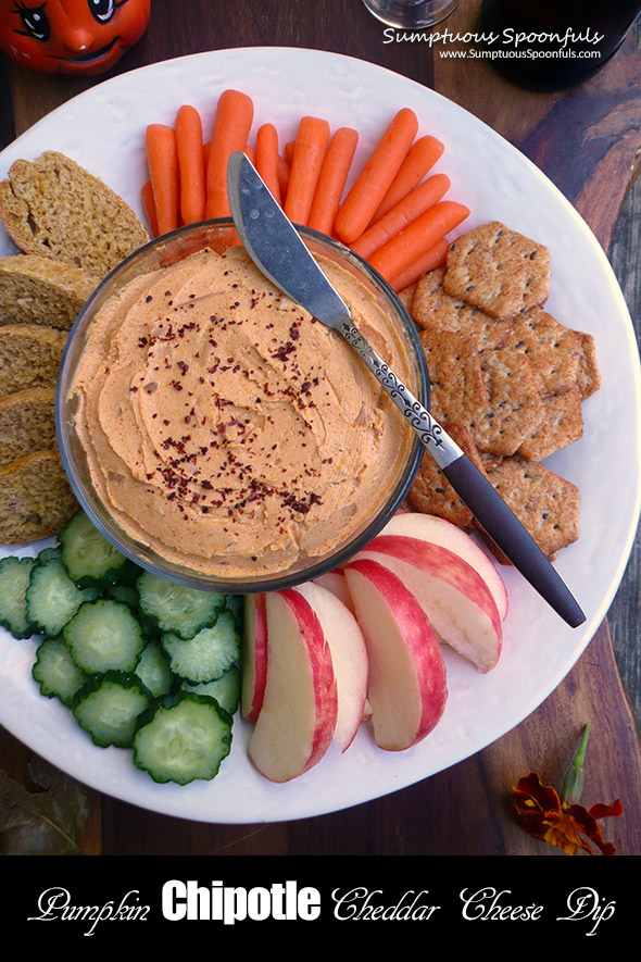 Pumpkin Chipotle Cheddar Cheese Dip