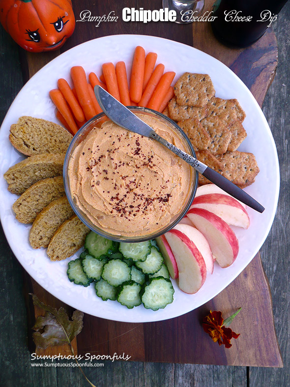 Pumpkin Chipotle Cheddar Cheese Dip